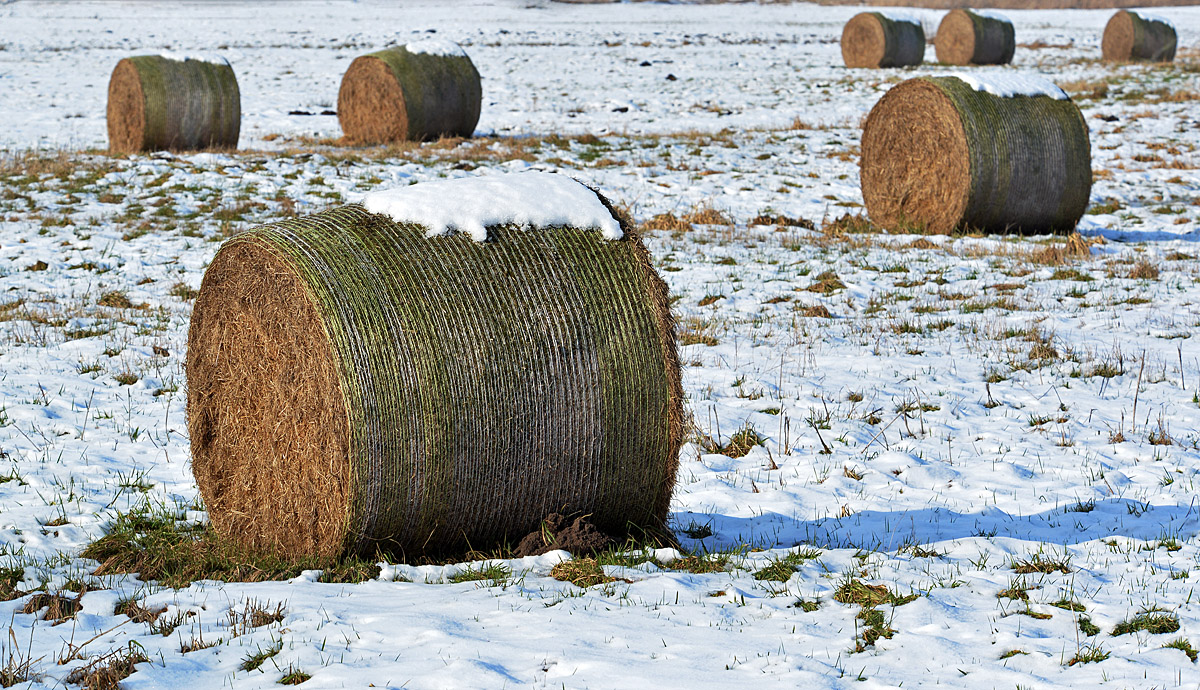 Winterheu