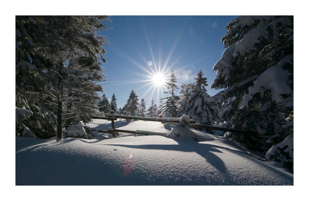 Winterimpression von einer Tour durch den Harz