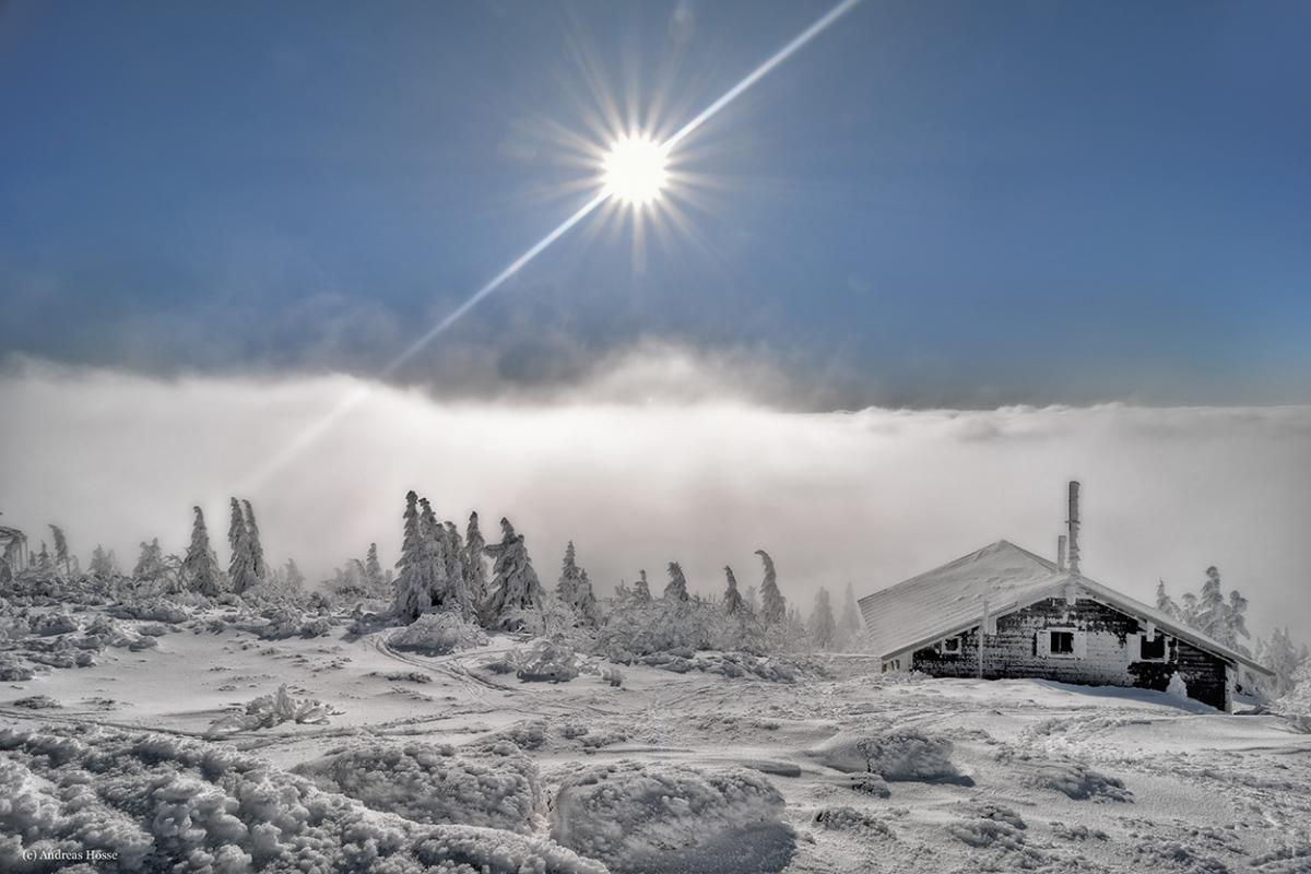 Winterland