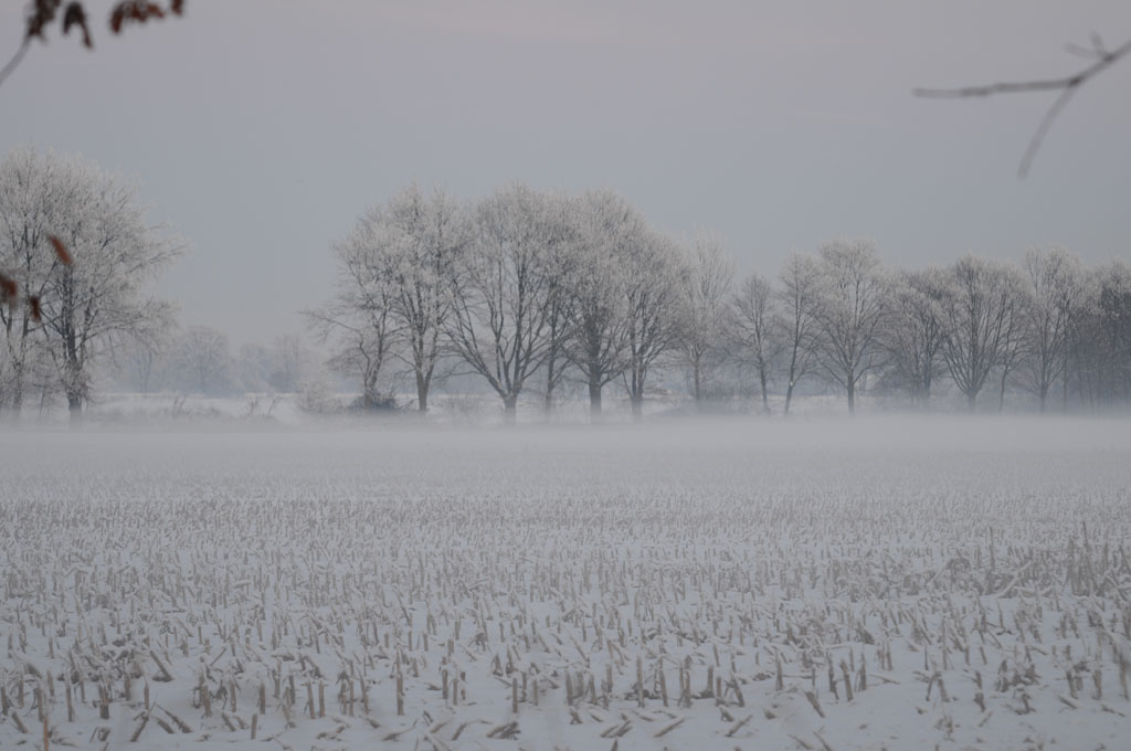 Winterlandschaft 2
2009-01-09_16-53-13-1