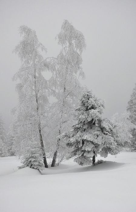 Winterlandschaft 2