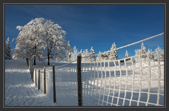 Winterlandschaft auf der Hohen Wand (Niederösterreich)