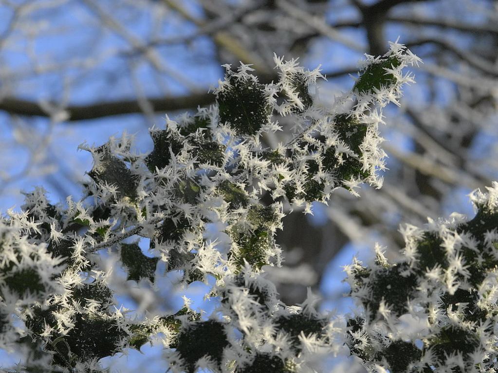 Winterlandschaft Fedkante 001