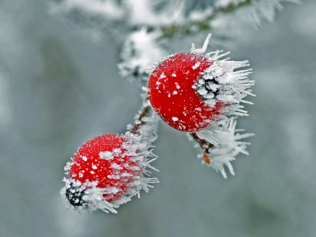 Winterlandschaft Fedkante 002