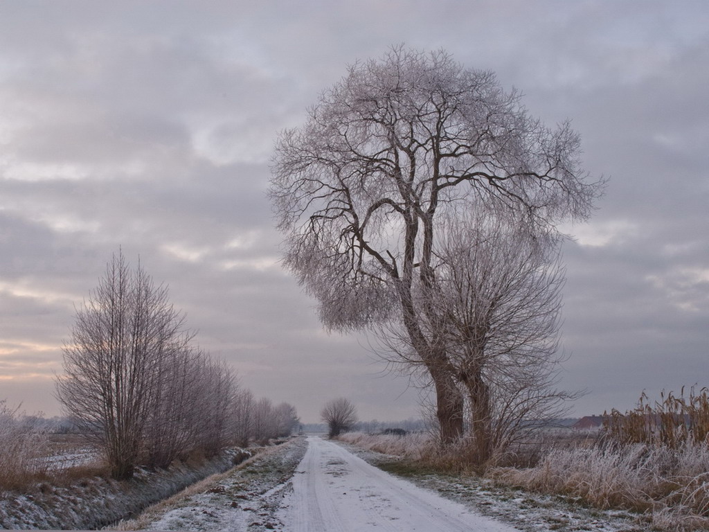 Winterlandschaft Fedkante 004