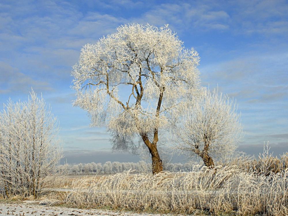 Winterlandschaft Fedkante 009