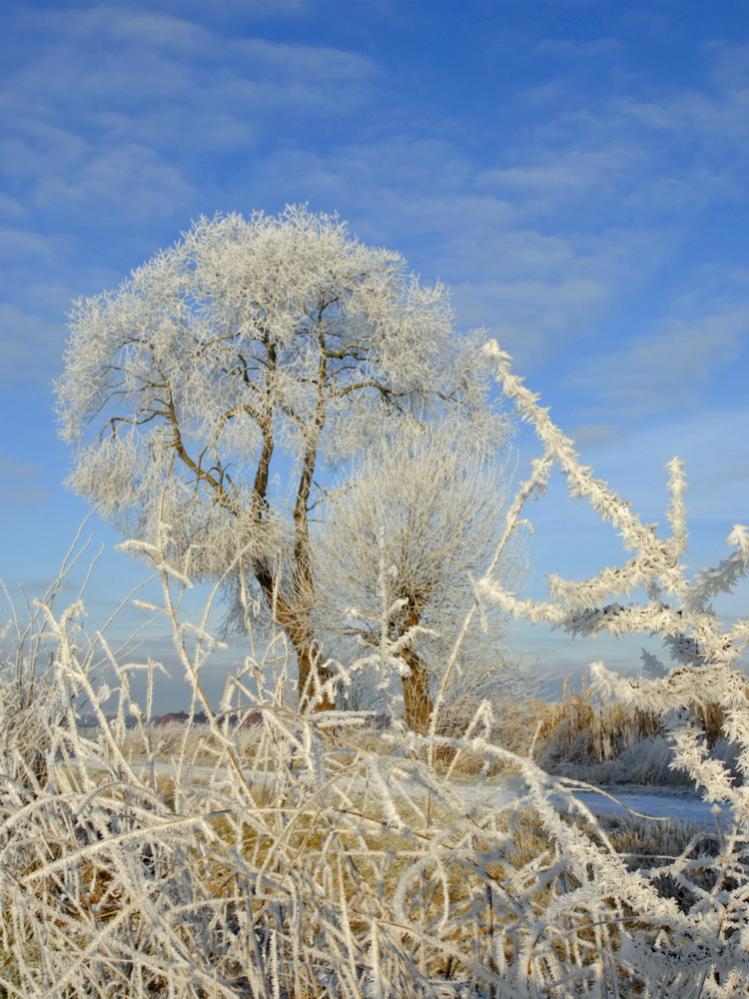 Winterlandschaft Fedkante 011
