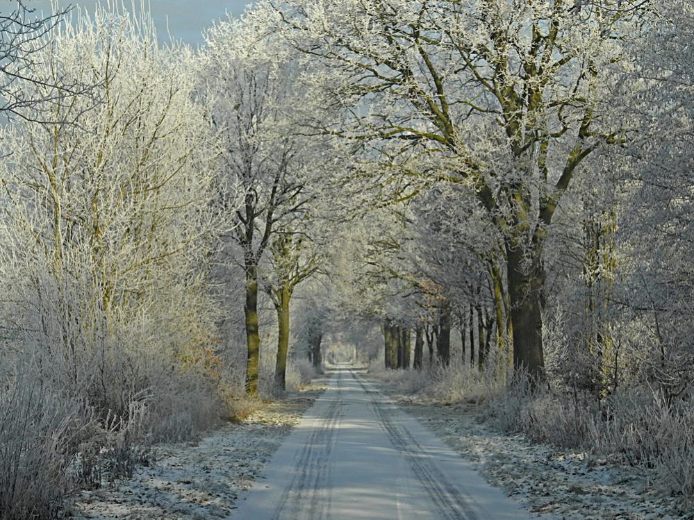 Winterlandschaft Fedkante 013