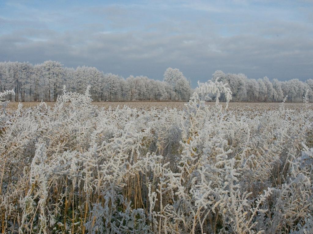 Winterlandschaft Fedkante 016