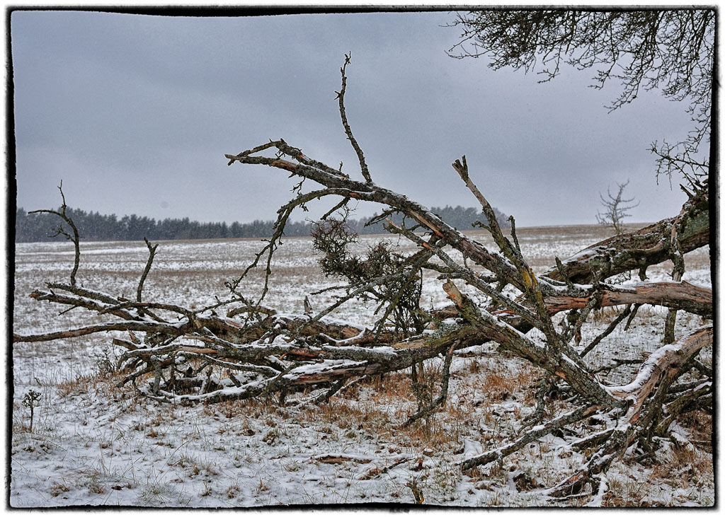Winterlandschaft