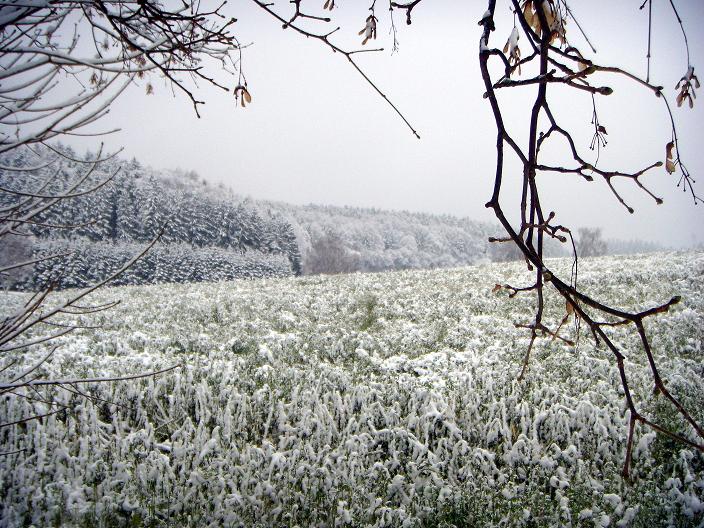Winterlandschaft