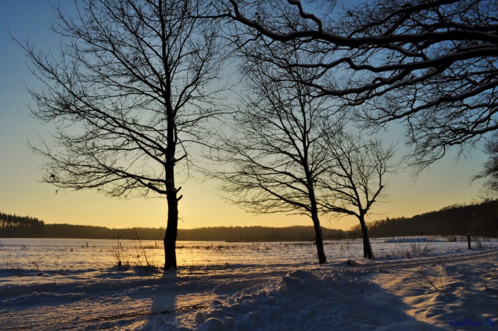 Winterlicher Feldweg bei Hohenbocka/Niedrlausitz