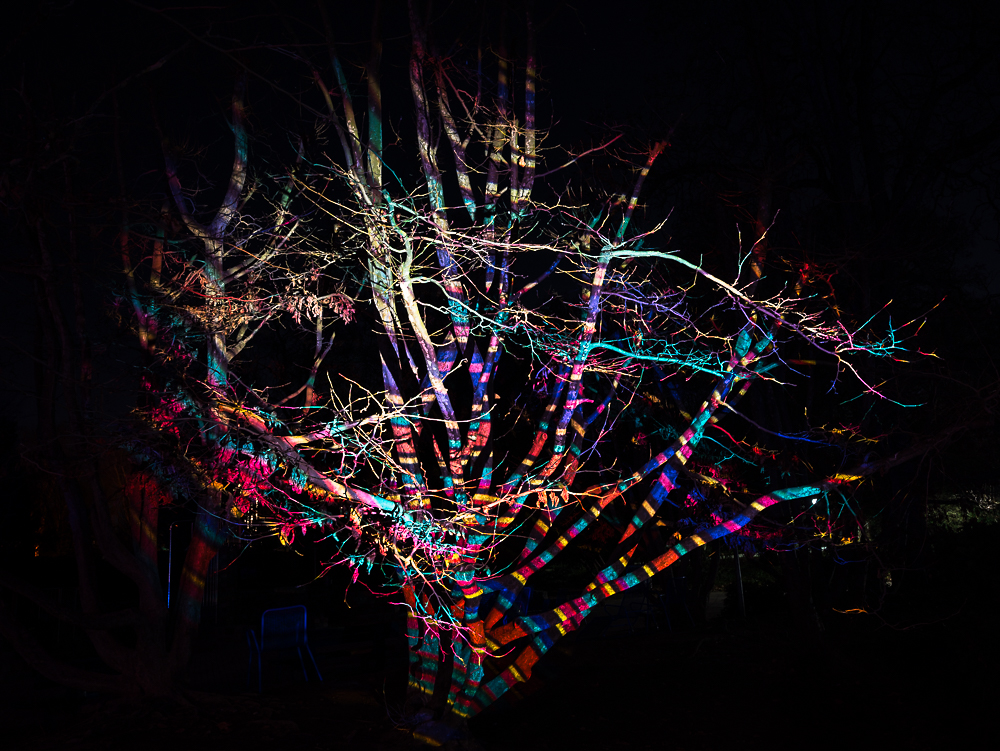 Winterlichter 2019 1291