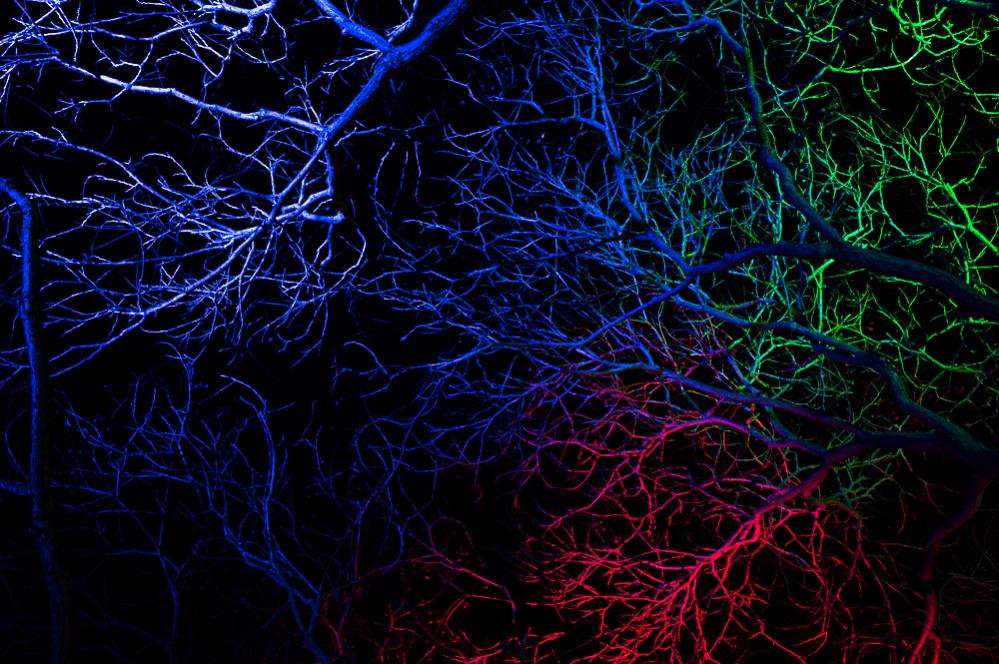 Winterlichter 2019 1339