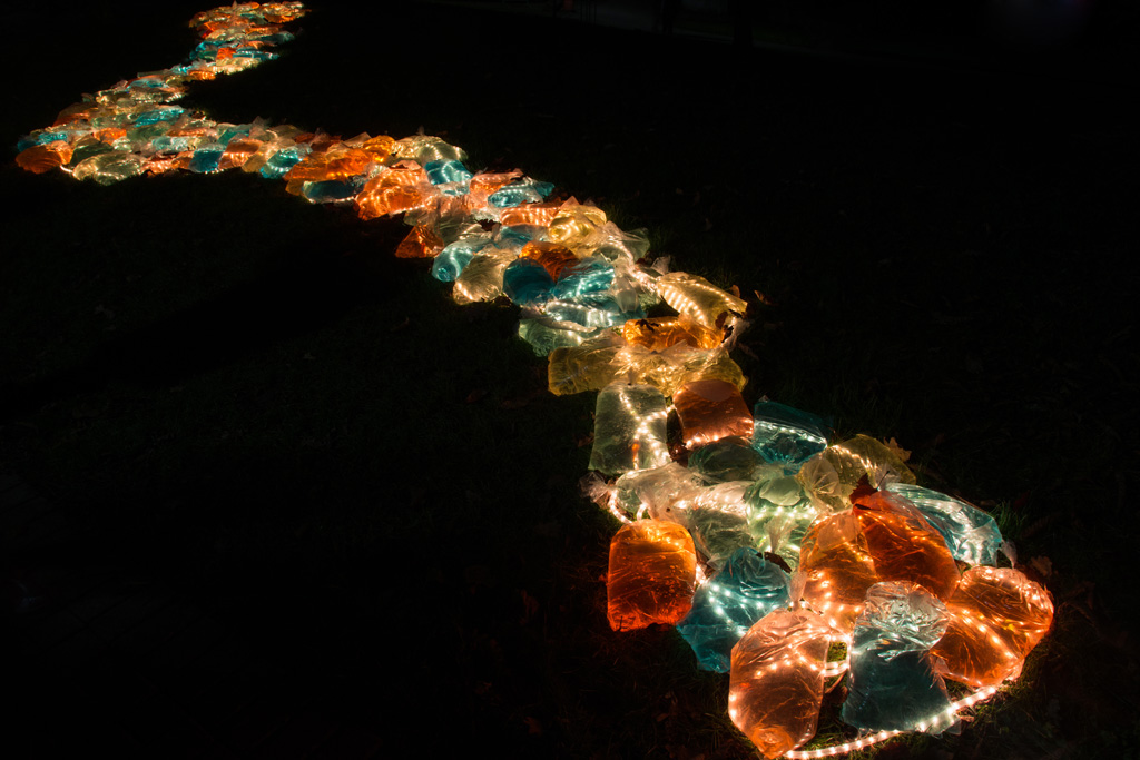 Winterlichter im Luisenpark Mannheim 11