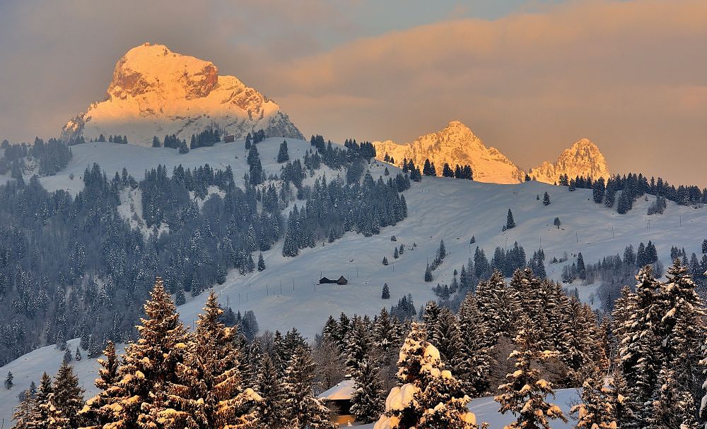 Wintermorgen 2010