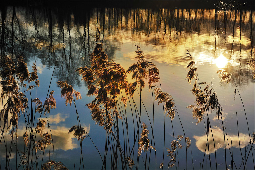 Wintersonne 02 / 2009