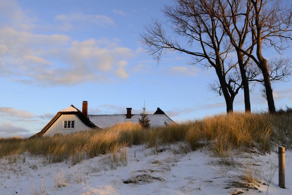 Wintersonne am Dünengürtel