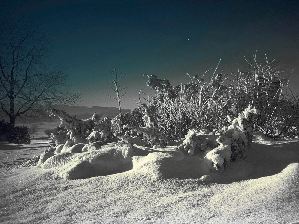 Wintervollmondnacht auf der Alb