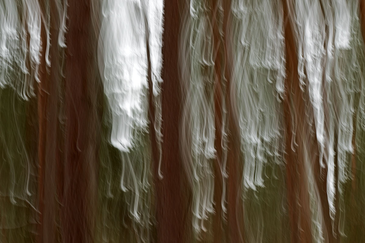 Winterwaldwischer 1.jpg