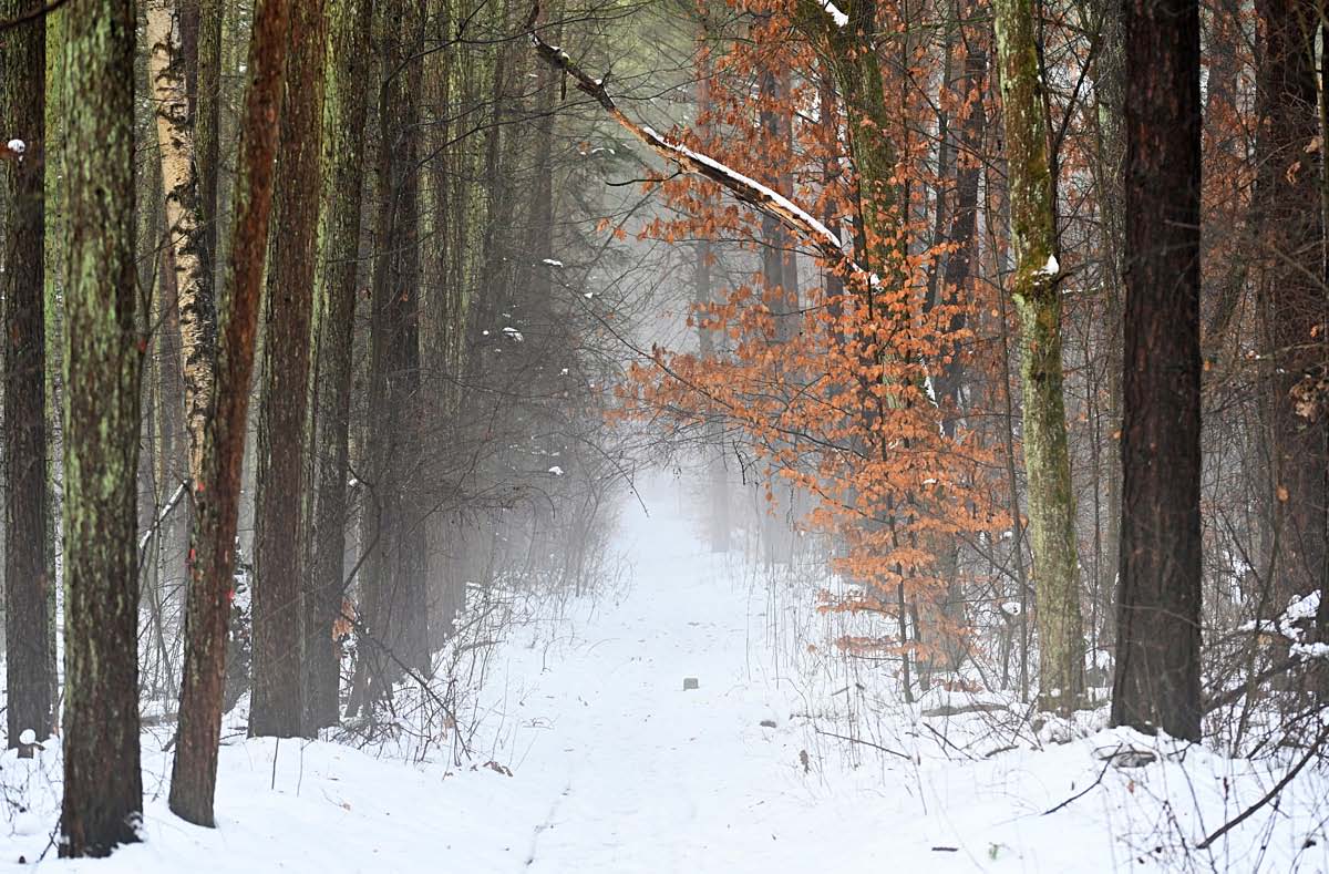 Winterweg 2.jpg