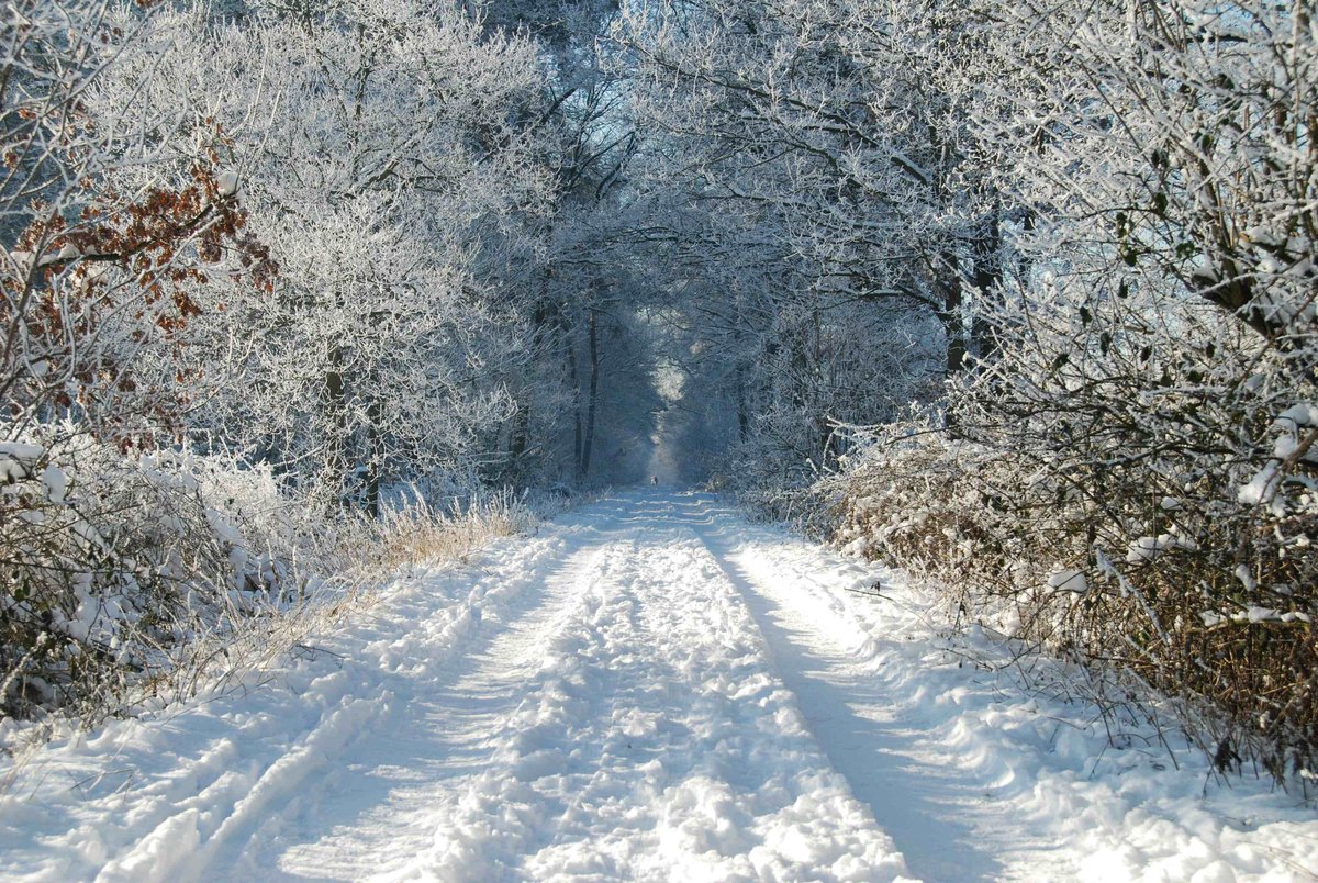 Winterweg am Heidesee.jpg