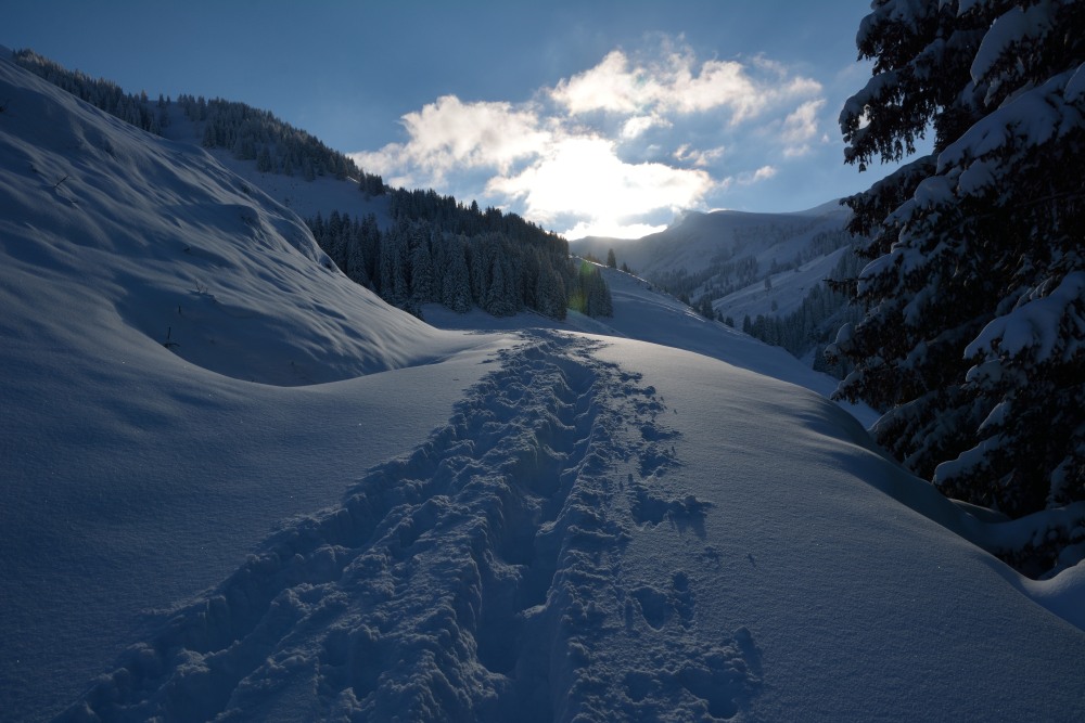 Winterweg