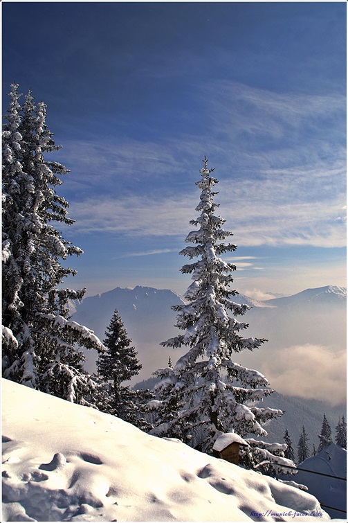 Winterwonderland ....