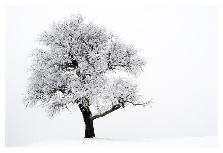 Winterzauber1
