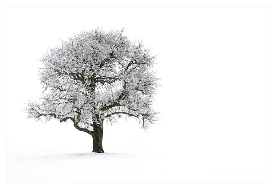 Winterzauber2