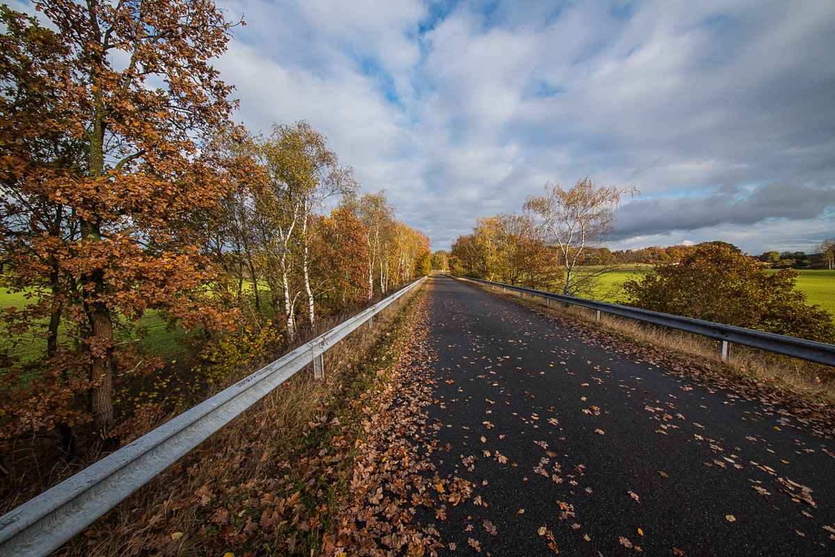 Wirtschaftsweg (1 von 1).JPG
