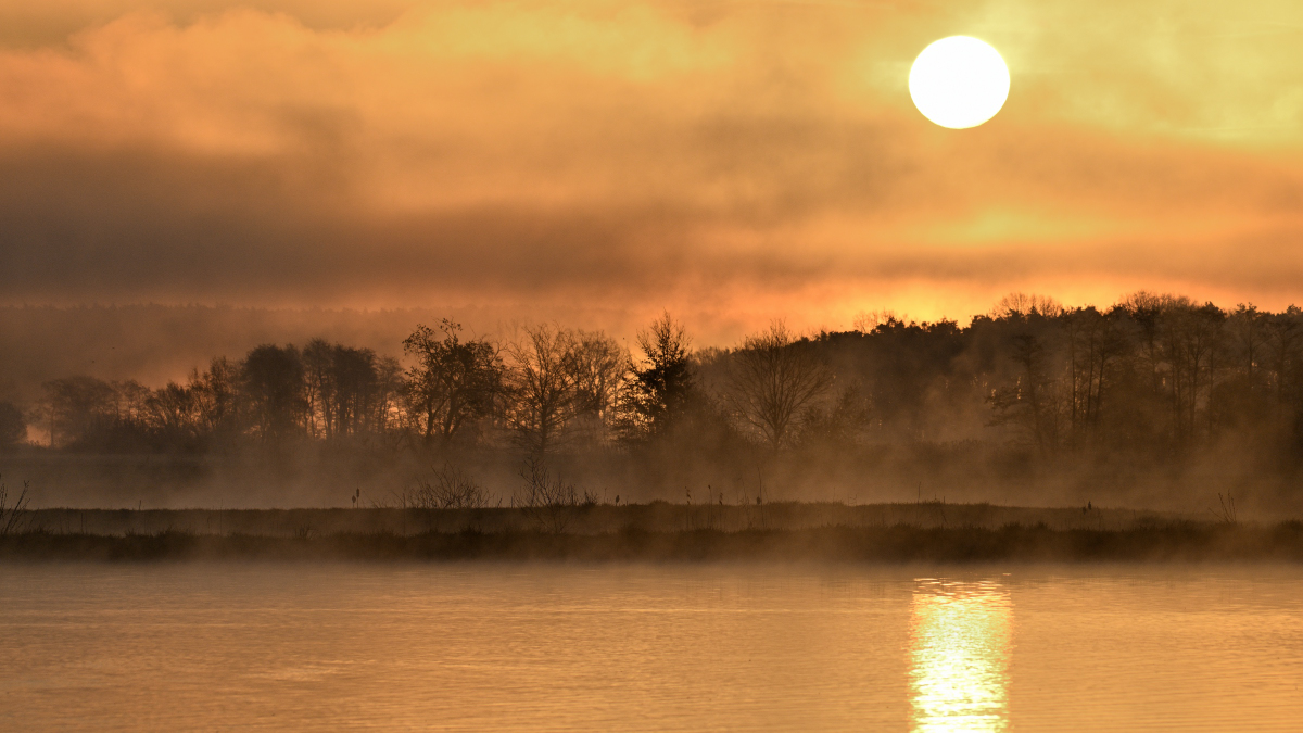WKZ_0369_NF.JPG