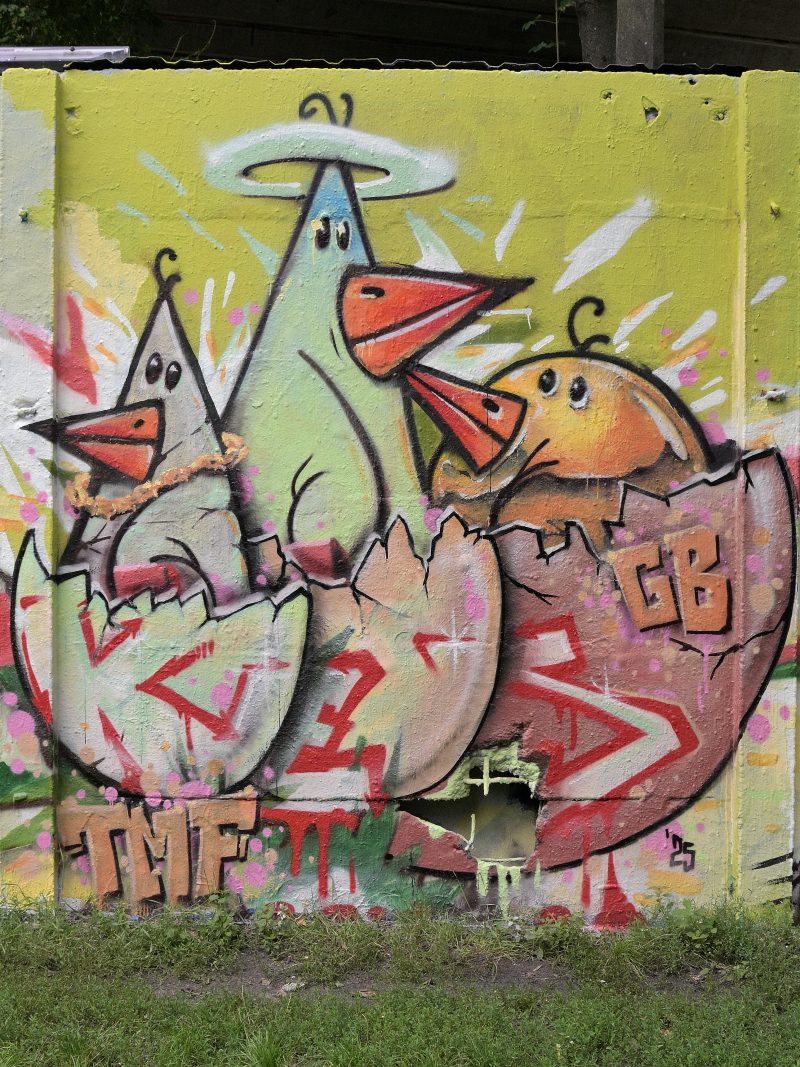WKZ_4393_dim 97.JPG