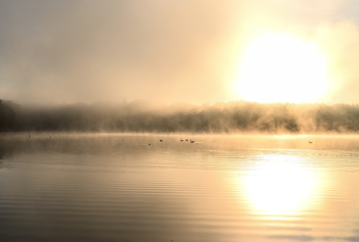 WKZ_8546_NF.JPG