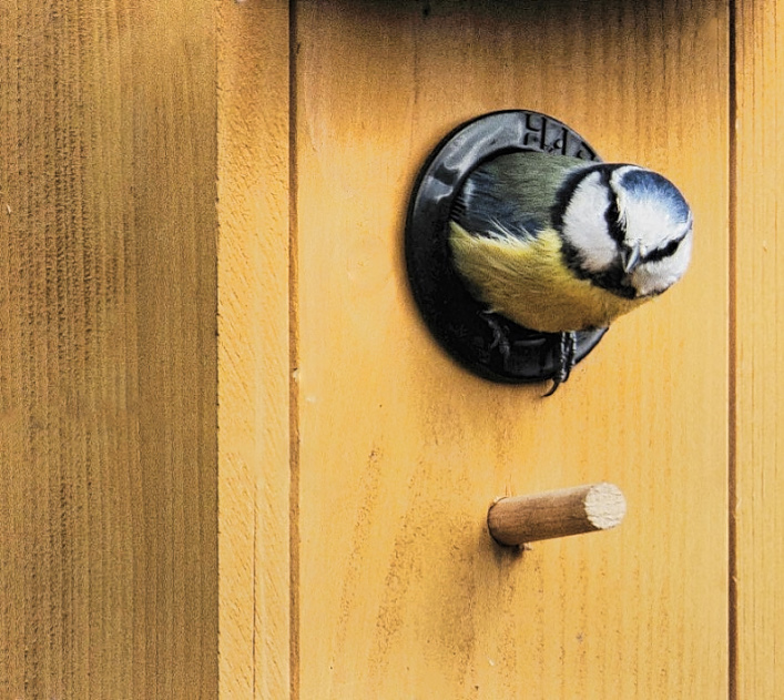Wohnungsbesichtigung_.jpg