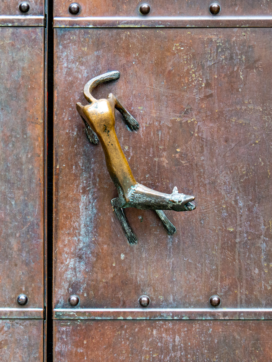 Wolf at the Door