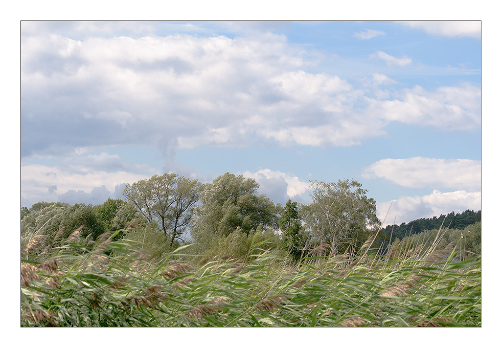 Wolin 2011