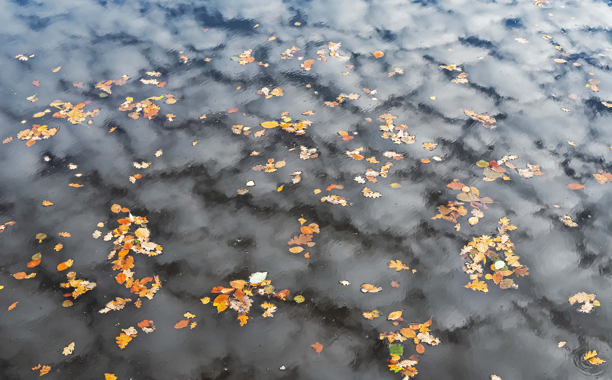 Wolkenblätter.jpg
