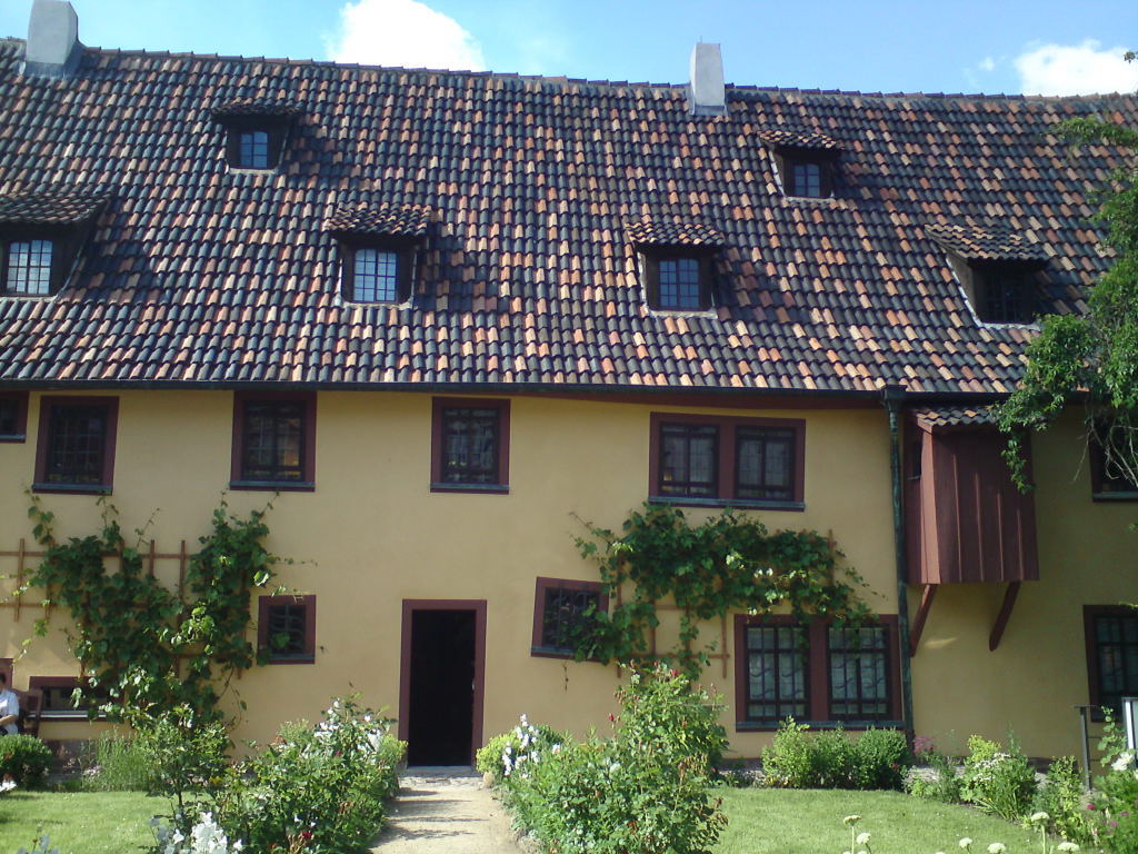 worauf schau ich hier, gemeinerweise aus dem Garten?