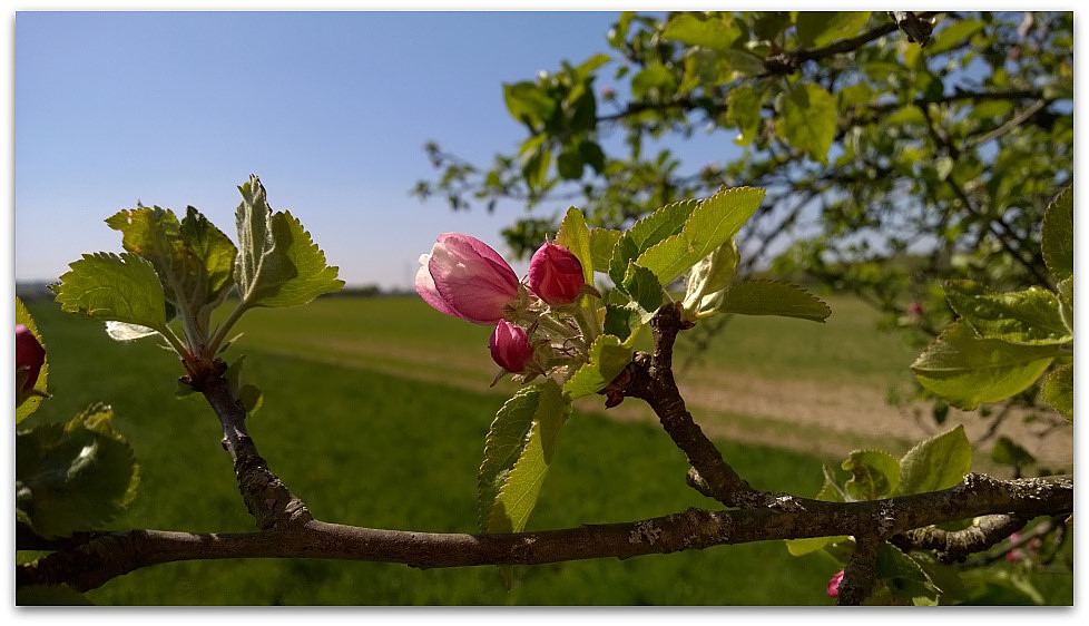 WP 20150424 15 07 21 Pro  highres
Nokia-Lumia-930
überschärft....