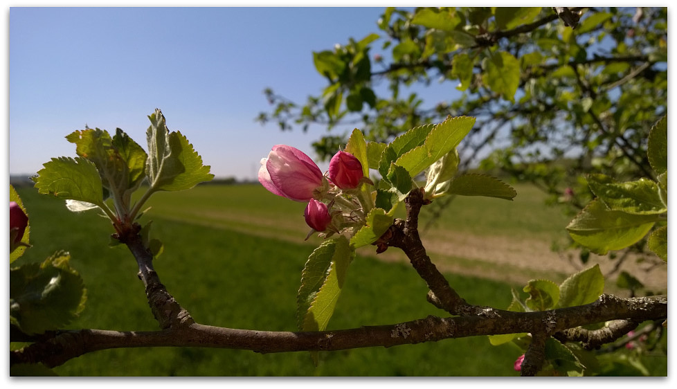 WP 20150424 15 07 21 Pro  highres
Nokia-Lumia-930