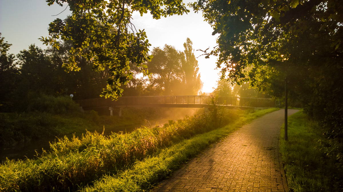 WP 20150923 08 06 39 Raw  highres