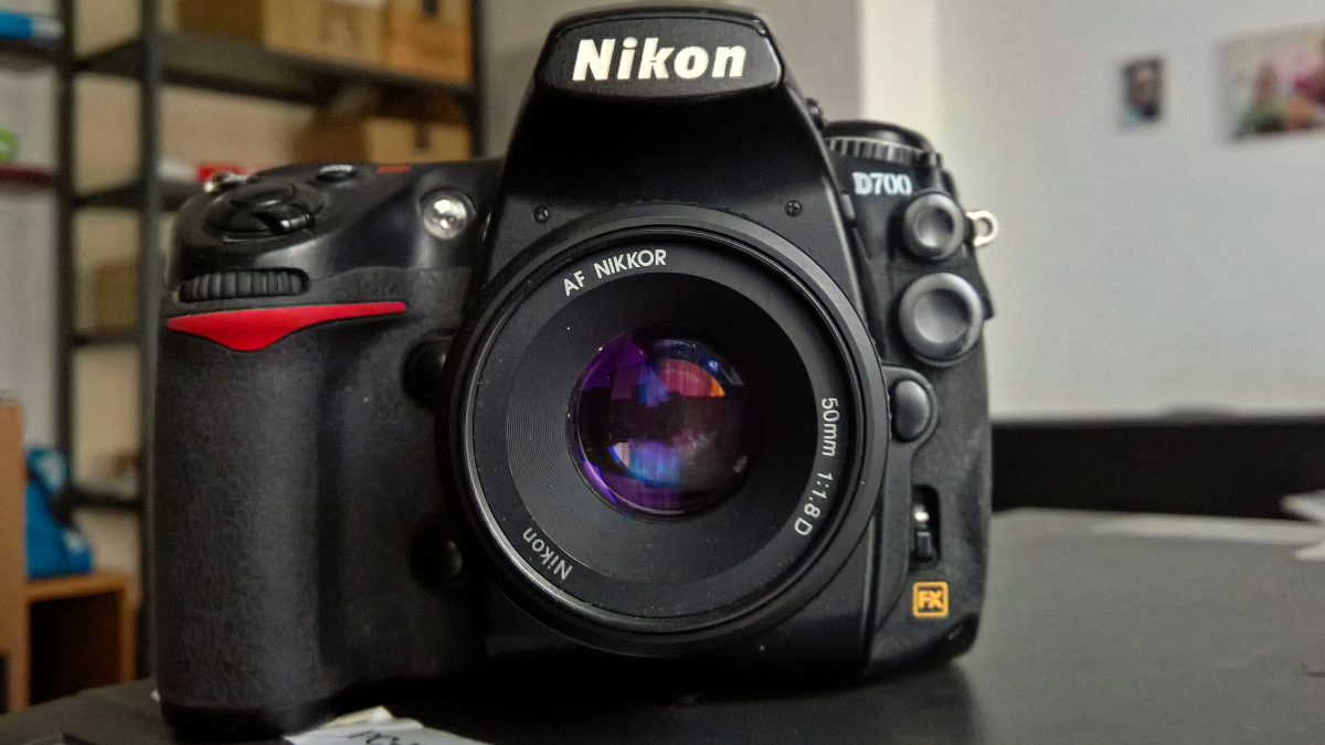 WP_20191031_08_04_51_Raw_LI_DxO2.jpg