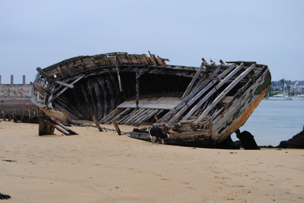 Wrack bei Etel in der Bretagne