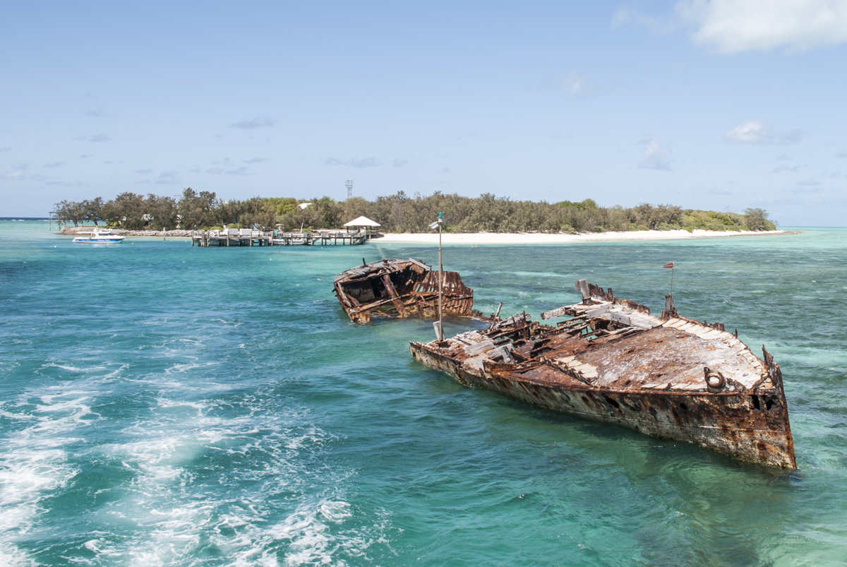 Wrack Heron Island