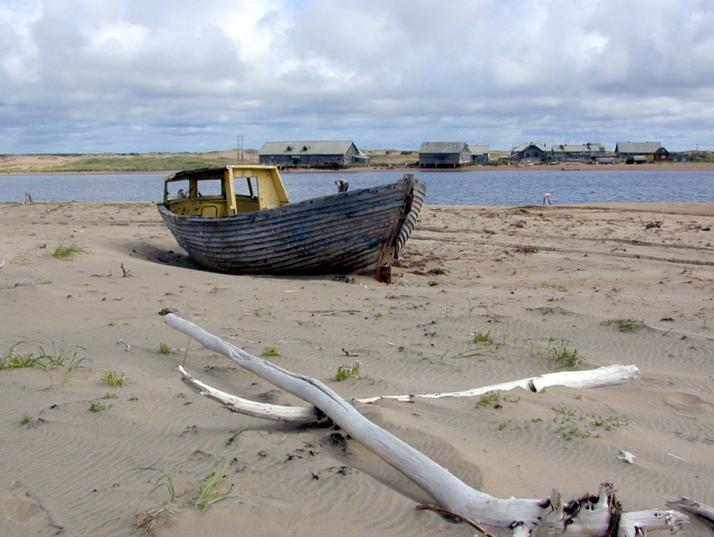 Wrack, Kola Halbinsel, Russland