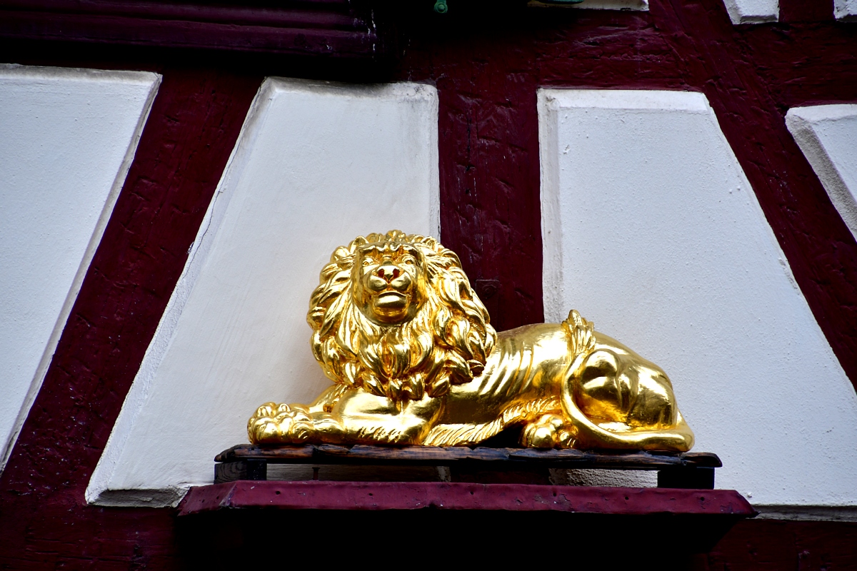 WRU 2496