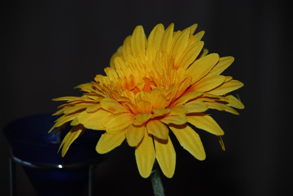Wunderbare Blume