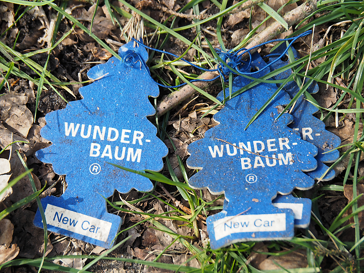 Wunderbaum.jpg