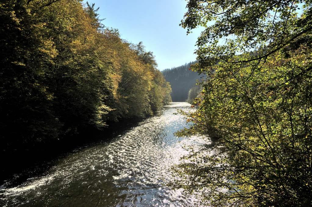 Wupper